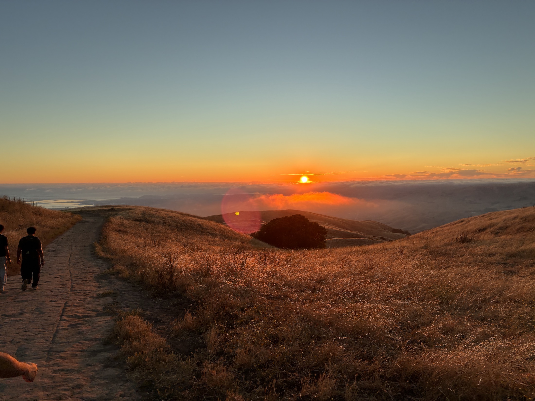 Sunset over golden hills above a sea of fog